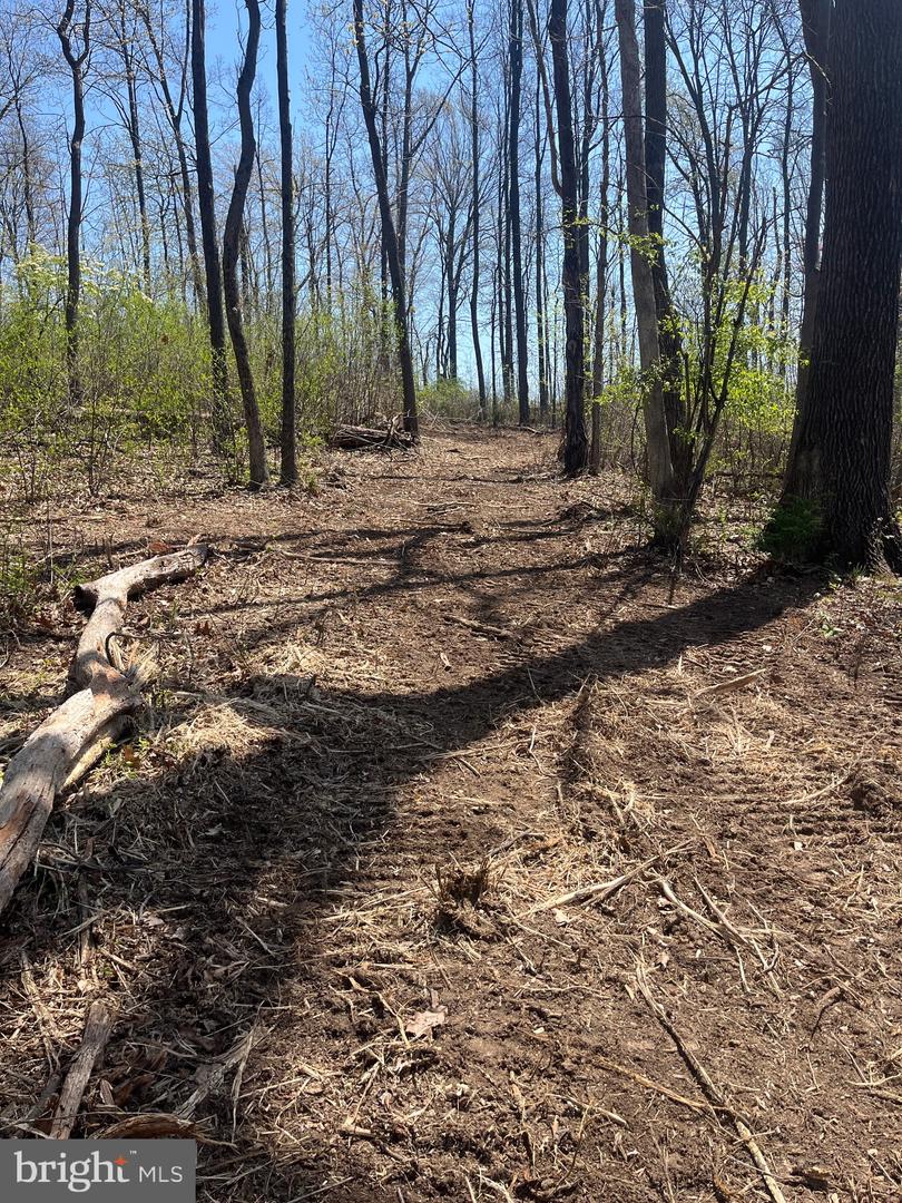00 CHESTNUT RIDGE RD, STAUNTON, Virginia 24401, ,Land,For sale,00 CHESTNUT RIDGE RD,VAAG2000440 MLS # VAAG2000440