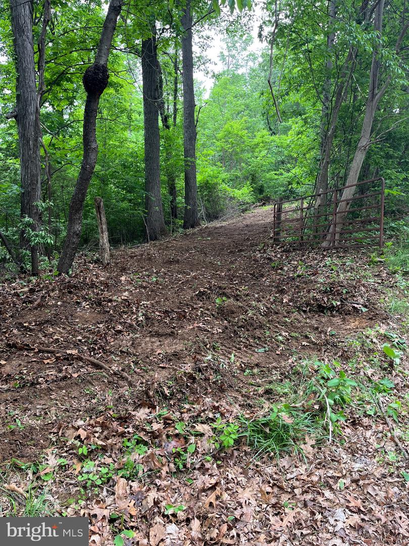 00 CHESTNUT RIDGE RD, STAUNTON, Virginia 24401, ,Land,For sale,00 CHESTNUT RIDGE RD,VAAG2000440 MLS # VAAG2000440