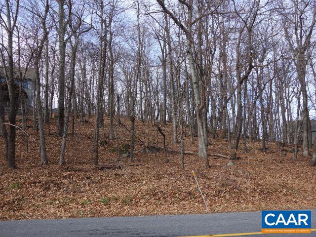 91 SHAMOKIN SPRINGS TRL, WINTERGREEN, Virginia 22958, ,Land,For sale,91 SHAMOKIN SPRINGS TRL,659487 MLS # 659487