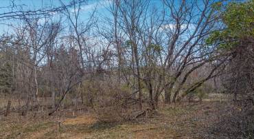 100 FLINT RD, RILEYVILLE, Virginia 22650, ,Land,For sale,100 FLINT RD,VAPA2004268 MLS # VAPA2004268