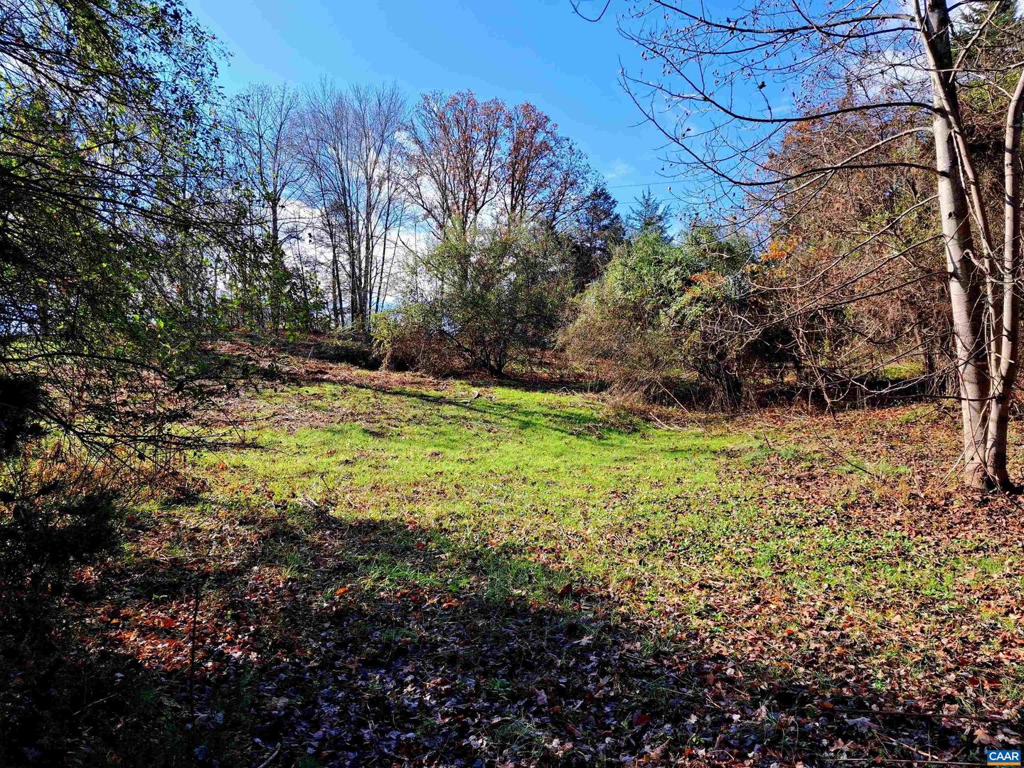 0 HORN HOLLOW LN #29-49A, MADISON, Virginia 22727, ,Land,For sale,0 HORN HOLLOW LN #29-49A,657291 MLS # 657291