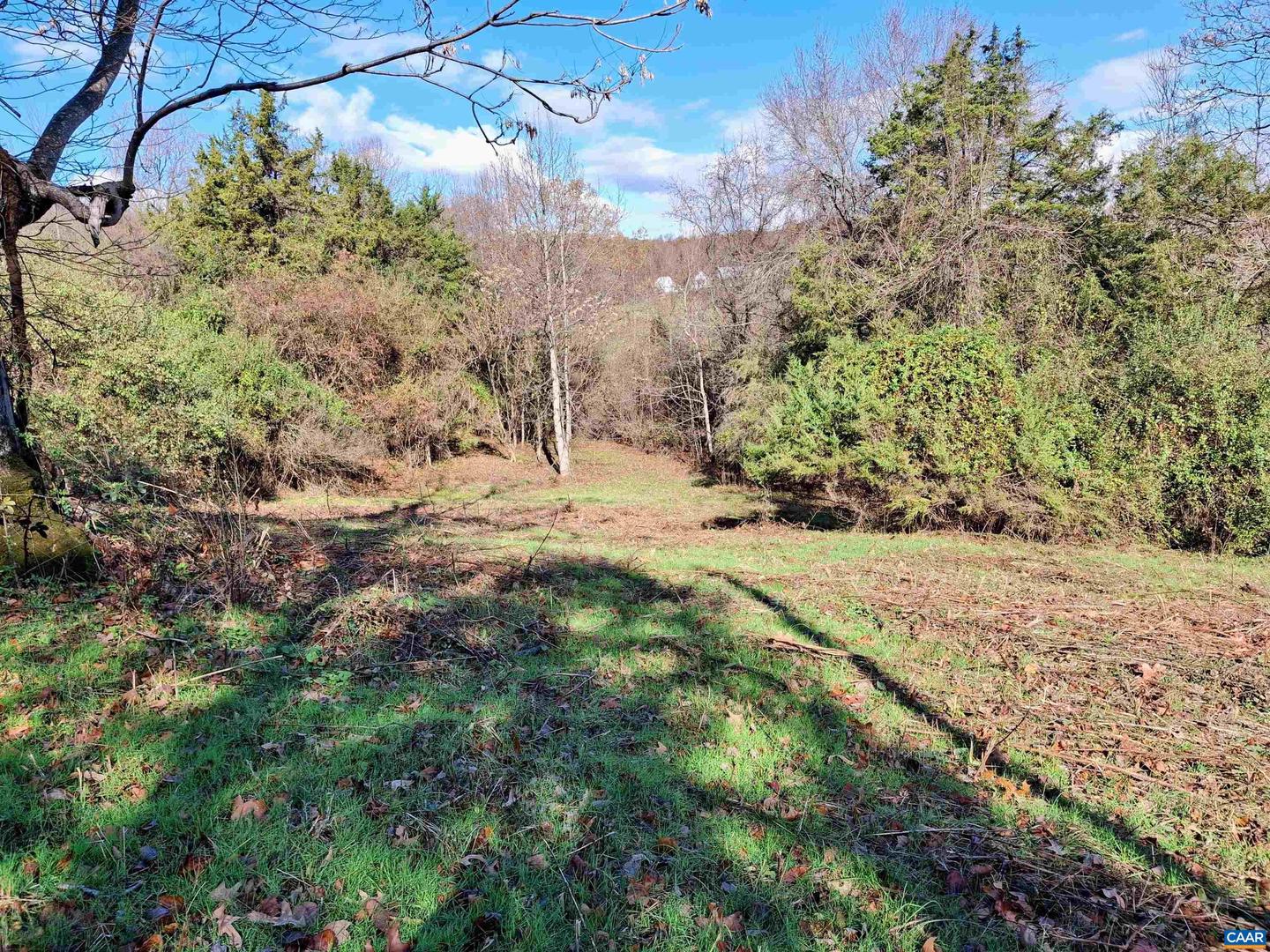 0 HORN HOLLOW LN #29-49A, MADISON, Virginia 22727, ,Land,For sale,0 HORN HOLLOW LN #29-49A,657291 MLS # 657291