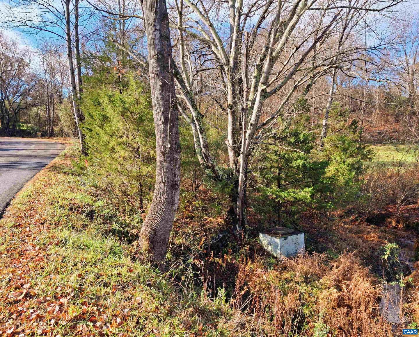 0 HORN HOLLOW LN #29-49A, MADISON, Virginia 22727, ,Land,For sale,0 HORN HOLLOW LN #29-49A,657291 MLS # 657291