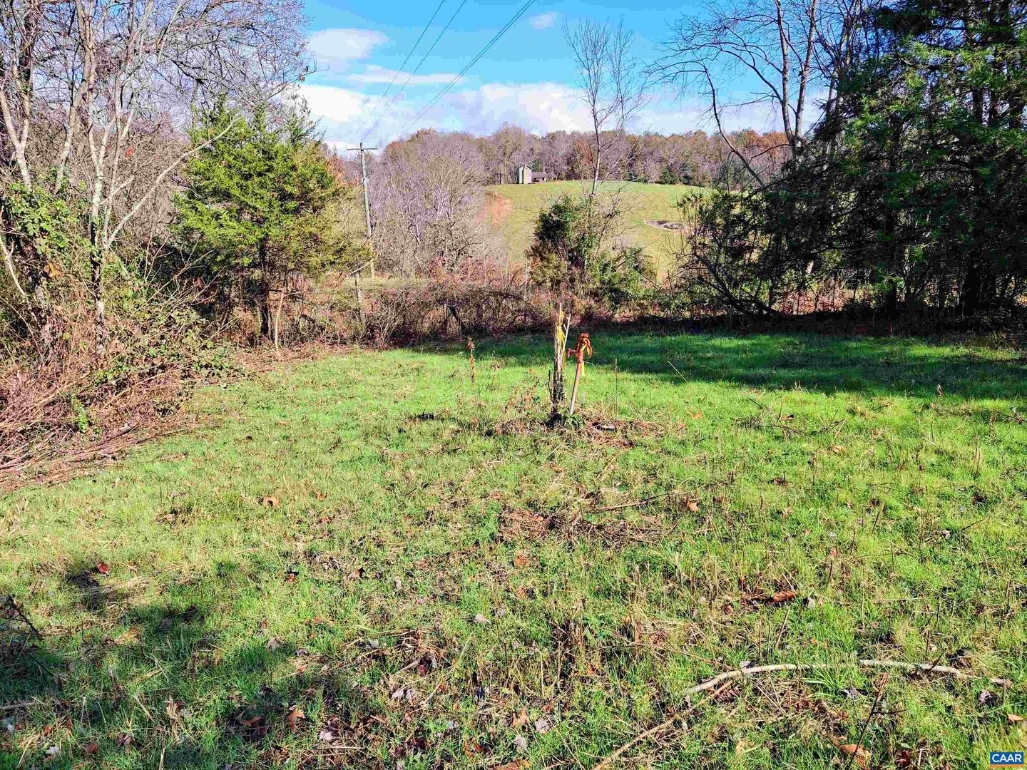 0 HORN HOLLOW LN #29-49A, MADISON, Virginia 22727, ,Land,For sale,0 HORN HOLLOW LN #29-49A,657291 MLS # 657291