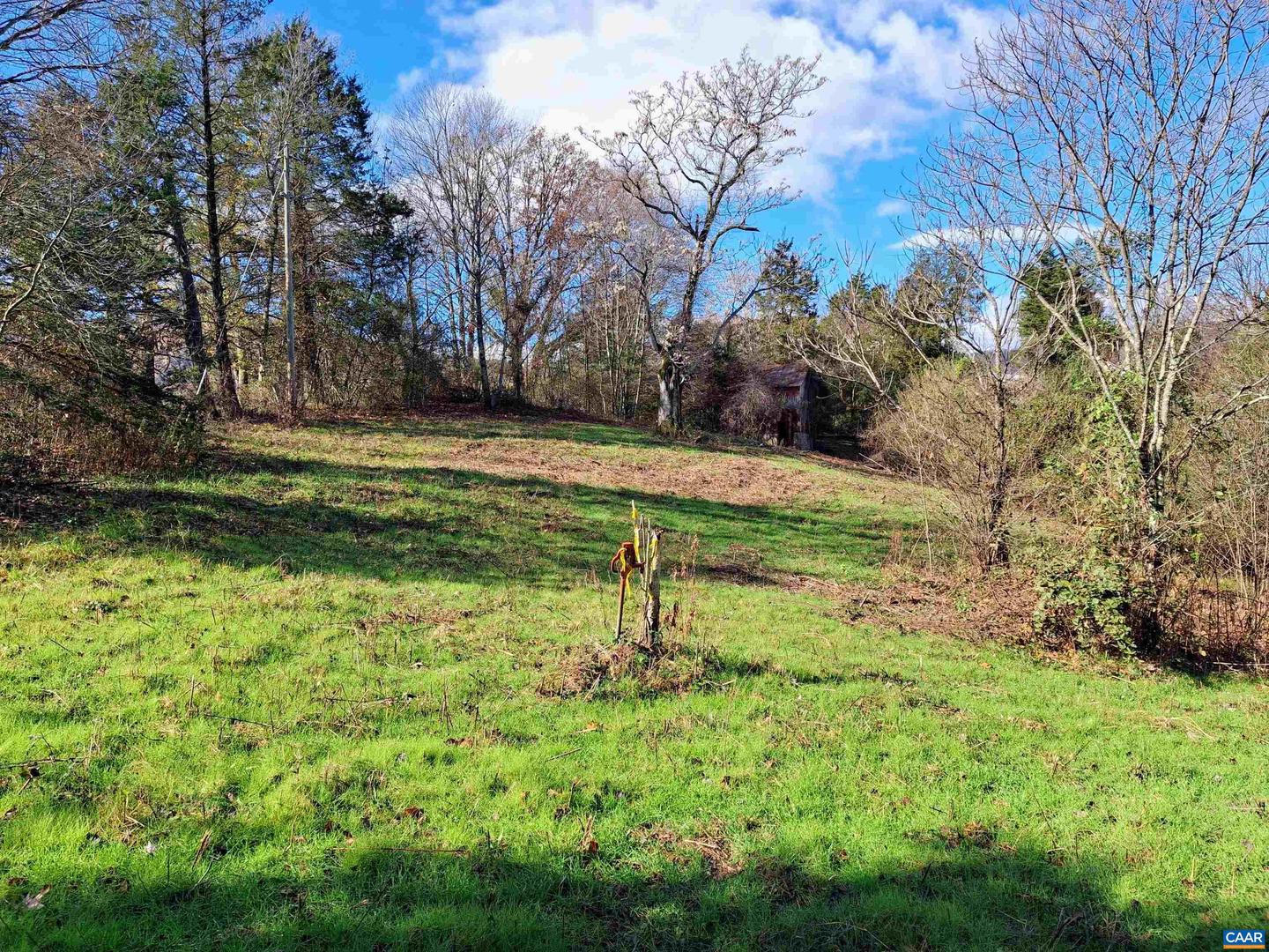 0 HORN HOLLOW LN #29-49A, MADISON, Virginia 22727, ,Land,For sale,0 HORN HOLLOW LN #29-49A,657291 MLS # 657291