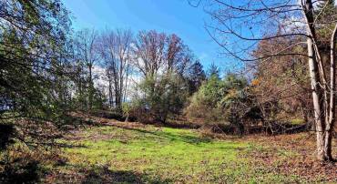 0 HORN HOLLOW LN #29-49A, MADISON, Virginia 22727, ,Land,For sale,0 HORN HOLLOW LN #29-49A,657291 MLS # 657291