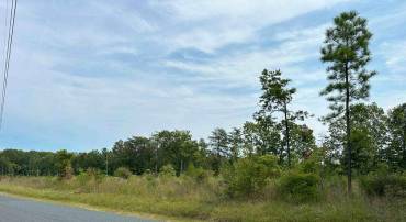 PENLAN RD, ARVONIA, Virginia 23004, ,Land,For sale,PENLAN RD,VABH2000140 MLS # VABH2000140