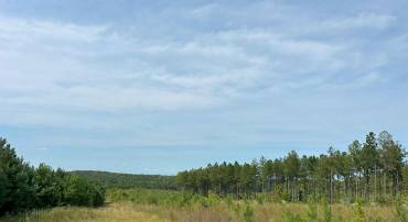 PENLAN RD, ARVONIA, Virginia 23004, ,Land,For sale,PENLAN RD,VABH2000142 MLS # VABH2000142