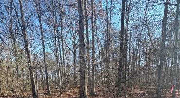 0 COX MILL ROAD, GORDONSVILLE, Virginia 22942, ,Land,For sale,0 COX MILL ROAD,VAOR2008530 MLS # VAOR2008530