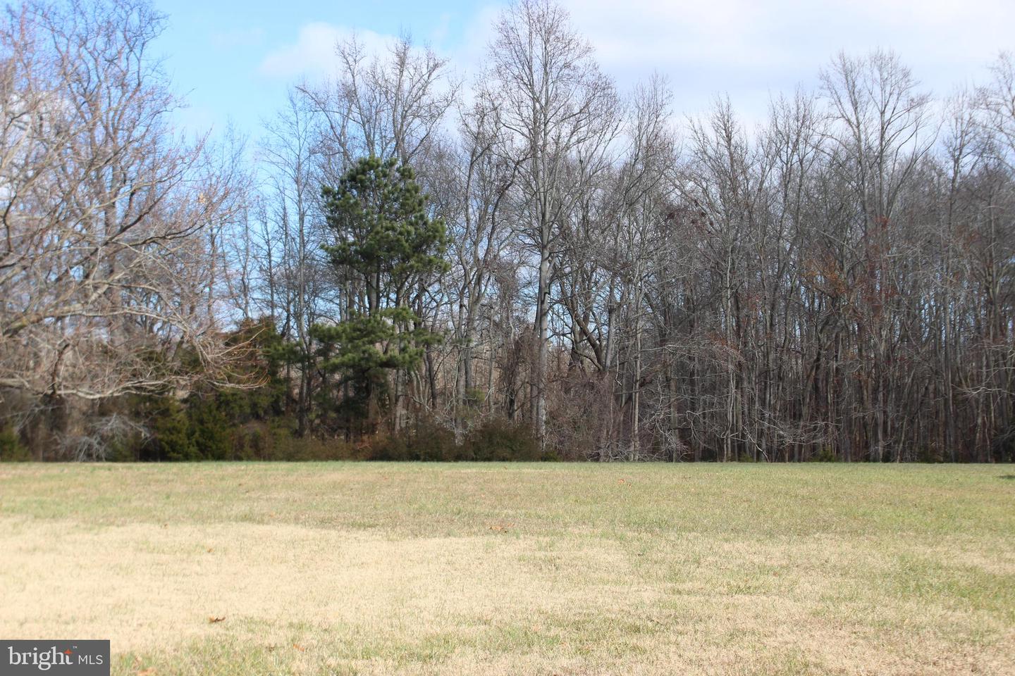 2 DAVEY JONES BLVD, GREENBACKVILLE, Virginia 23356, ,Land,For sale,2 DAVEY JONES BLVD,VAAC2001520 MLS # VAAC2001520