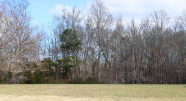 2 DAVEY JONES BLVD, GREENBACKVILLE, Virginia 23356, ,Land,For sale,2 DAVEY JONES BLVD,VAAC2001520 MLS # VAAC2001520