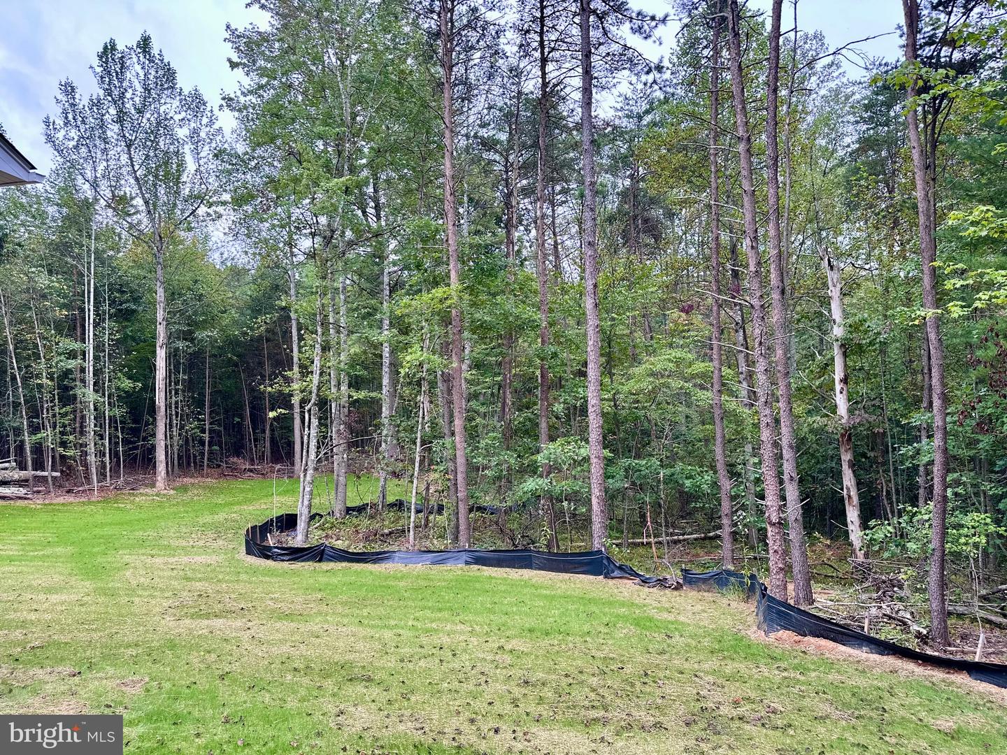 1303 ARRINGTON MOUNTAIN RD, HAYWOOD, Virginia 22722, 3 Bedrooms Bedrooms, ,2 BathroomsBathrooms,Residential,For sale,1303 ARRINGTON MOUNTAIN RD,VAMA2001996 MLS # VAMA2001996 1303 ARRINGTON MOUNTAIN RD, HAYWOOD, Virginia 22722, 3 Bedrooms Bedrooms, ,2 BathroomsBathrooms,Residential,For sale,1303 ARRINGTON MOUNTAIN RD,VAMA2001996 MLS # VAMA2001996