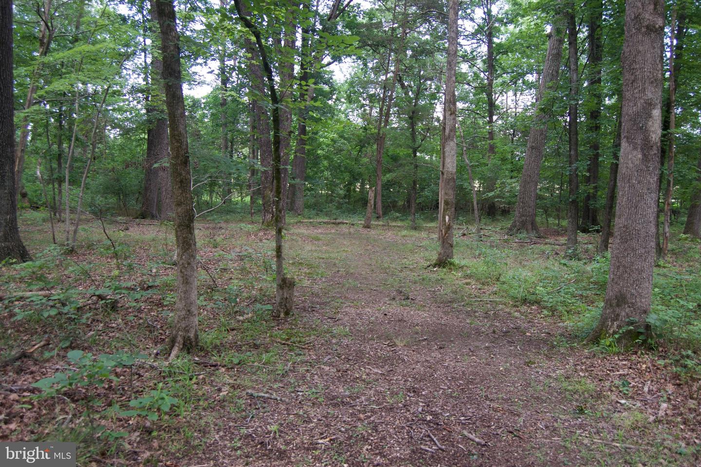 0 ALGONQUIN TRL, CULPEPER, Virginia 22701, ,Land,For sale,0 ALGONQUIN TRL,VACU2009430 MLS # VACU2009430