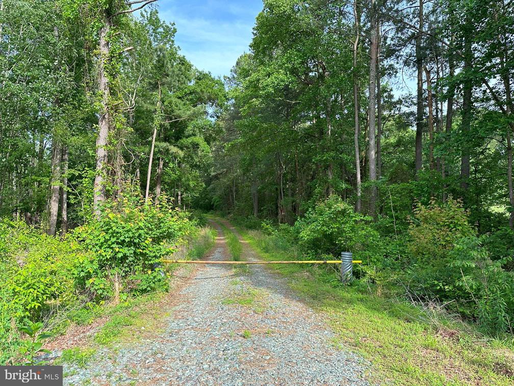 HADEN MARTIN ROAD, PALMYRA, Virginia 22963, ,Farm,For sale,HADEN MARTIN ROAD,VAFN2000380 MLS # VAFN2000380