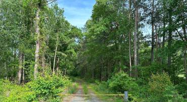 HADEN MARTIN ROAD, PALMYRA, Virginia 22963, ,Farm,For sale,HADEN MARTIN ROAD,VAFN2000380 MLS # VAFN2000380