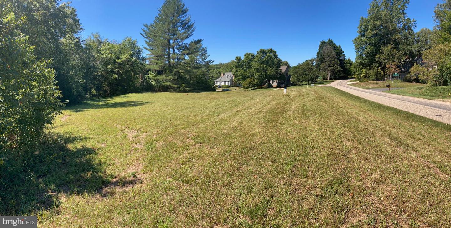 601 BRIDLESPUR LANE, EARLYSVILLE, Virginia 22936, ,Land,For sale,601 BRIDLESPUR LANE,VAAB2000478 MLS # VAAB2000478