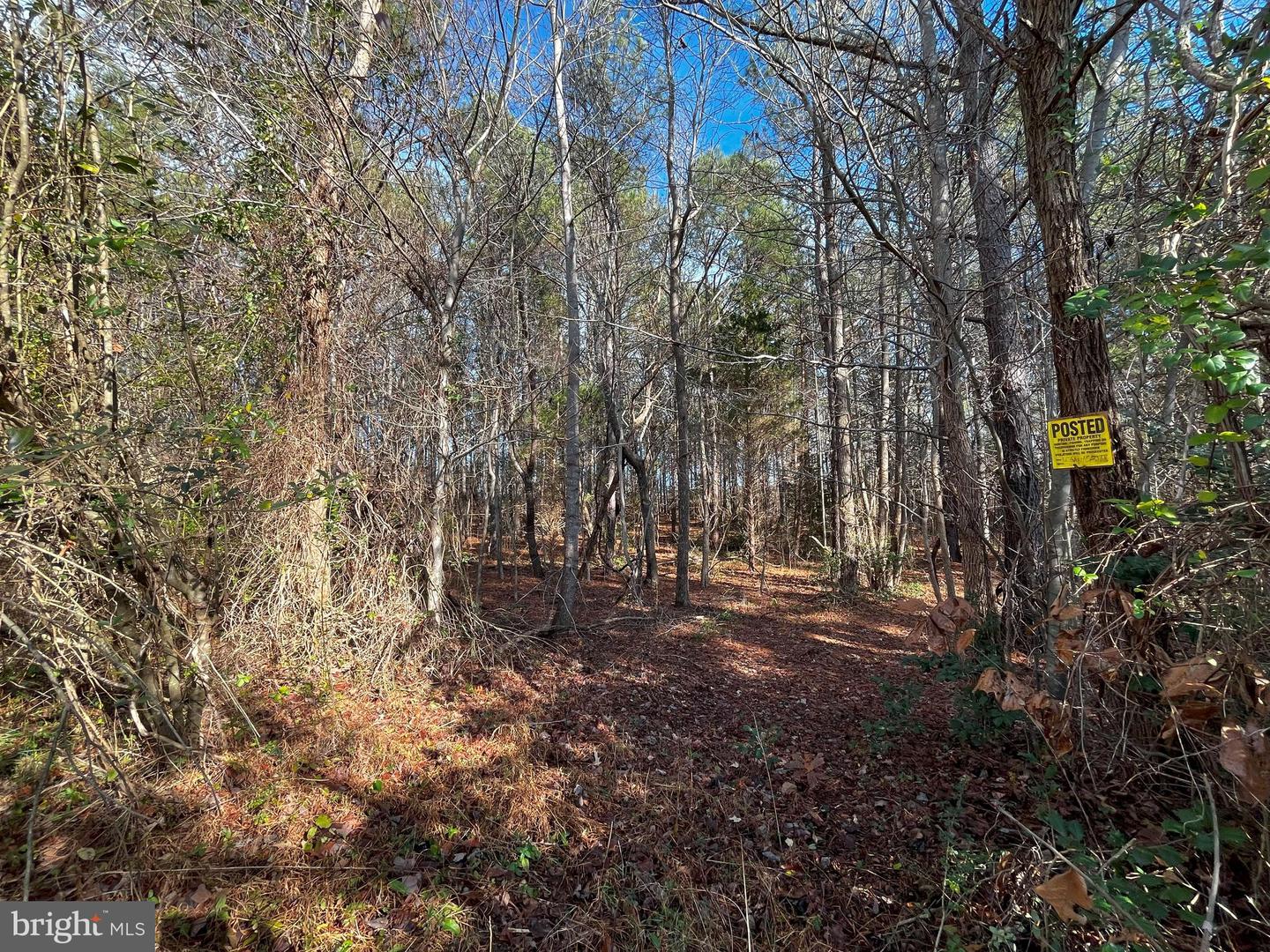 0C MCKENNY, WOODFORD, Virginia 22580, ,Land,For sale,0C MCKENNY,VACV2007178 MLS # VACV2007178