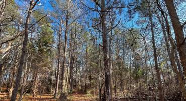 0C MCKENNY, WOODFORD, Virginia 22580, ,Land,For sale,0C MCKENNY,VACV2007178 MLS # VACV2007178