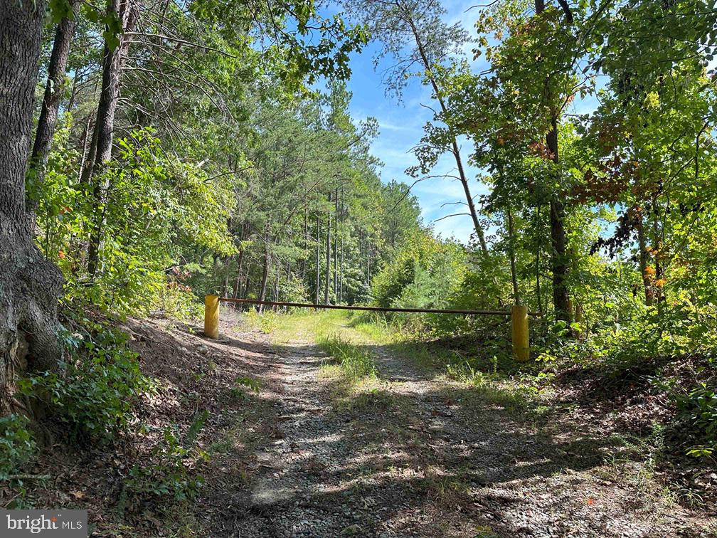 ROSE MT ROAD, HUSTLE, Virginia 22476, ,Land,For sale,ROSE MT ROAD,VAES2000782 MLS # VAES2000782