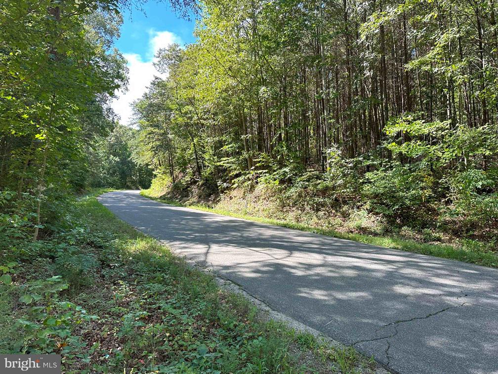 ROSE MT ROAD, HUSTLE, Virginia 22476, ,Land,For sale,ROSE MT ROAD,VAES2000782 MLS # VAES2000782