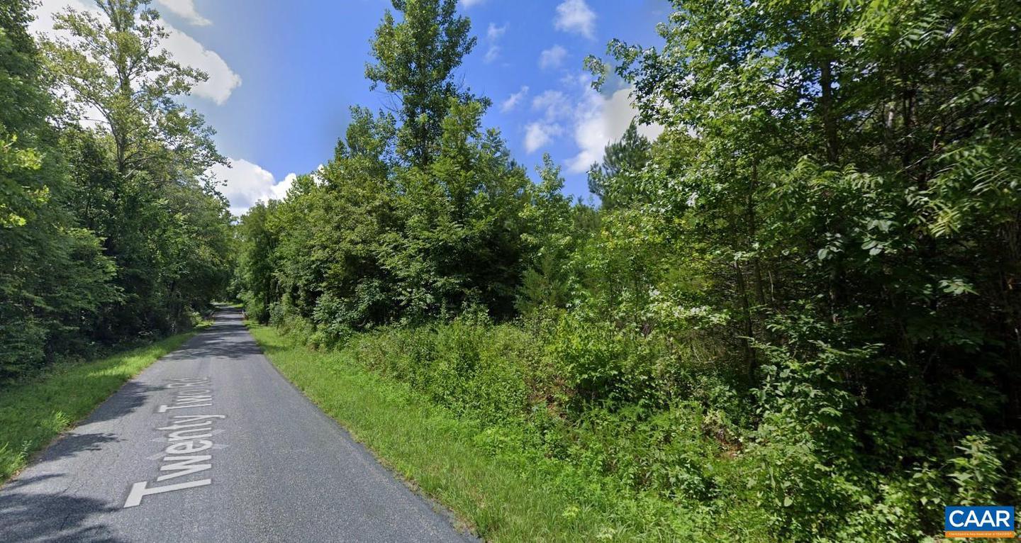 TBD TWENTY TWO RD, PAMPLIN, Virginia 23958, ,Land,For sale,TBD TWENTY TWO RD,659596 MLS # 659596