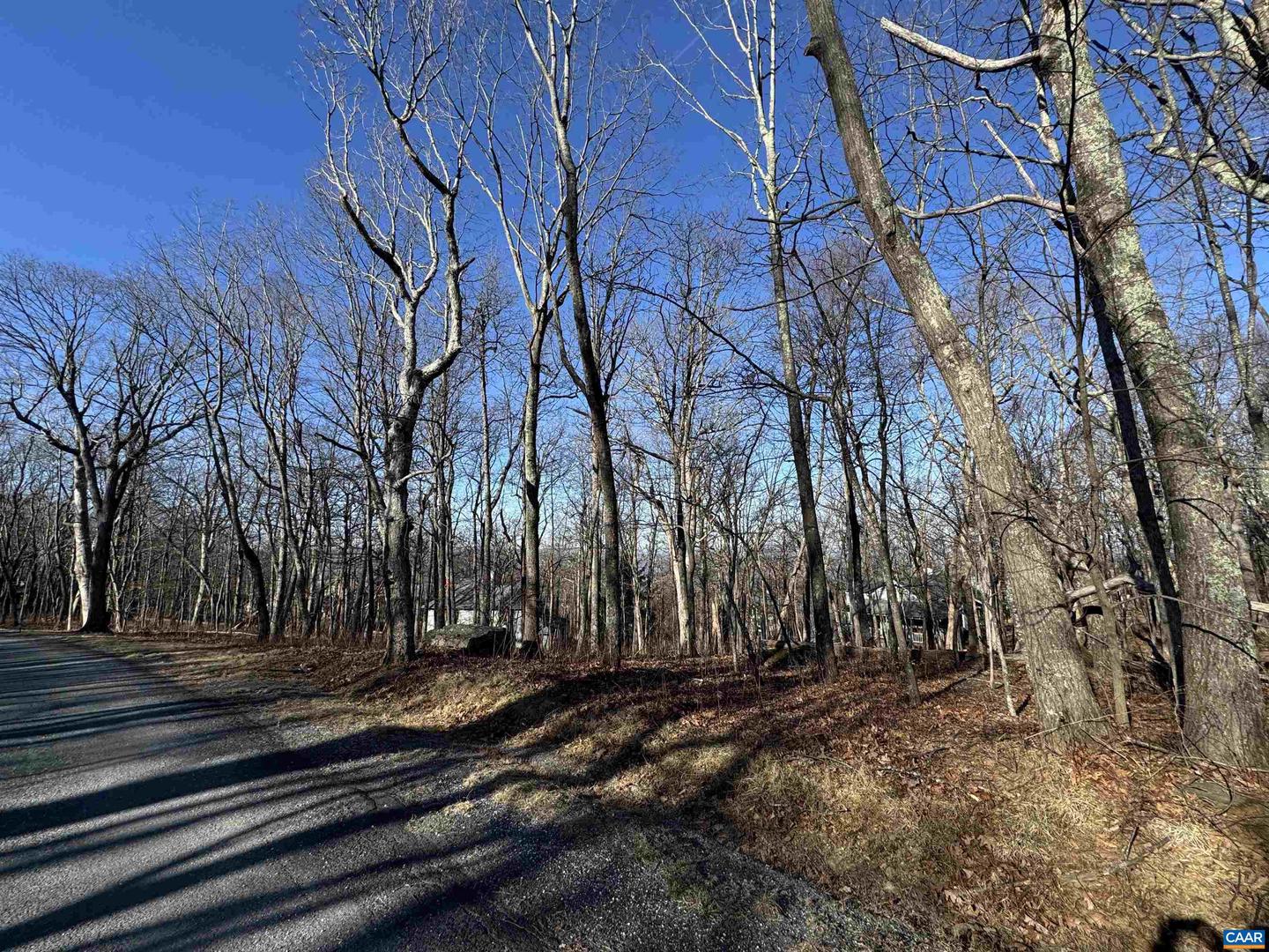 72 HICKORY SPRING RD #PRYORS CAMP LOT 41, ROSELAND, Virginia 22967, ,Land,For sale,72 HICKORY SPRING RD #PRYORS CAMP LOT 41,659620 MLS # 659620