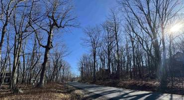 72 HICKORY SPRING RD #PRYORS CAMP LOT 41, ROSELAND, Virginia 22967, ,Land,For sale,72 HICKORY SPRING RD #PRYORS CAMP LOT 41,659620 MLS # 659620