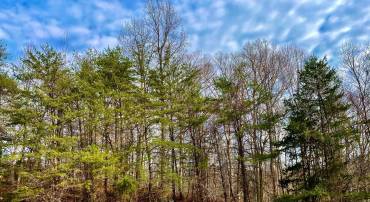 390 NICHOLS RUN CT, GREAT FALLS, Virginia 22066, ,Land,For sale,390 NICHOLS RUN CT,VAFX2212490 MLS # VAFX2212490