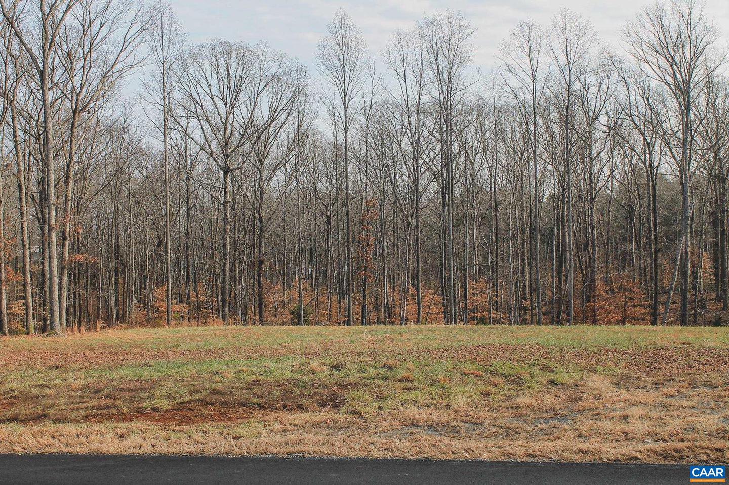 TBD BLENHEIM RD, SCOTTSVILLE, Virginia 24590, ,Land,For sale,TBD BLENHEIM RD,659679 MLS # 659679