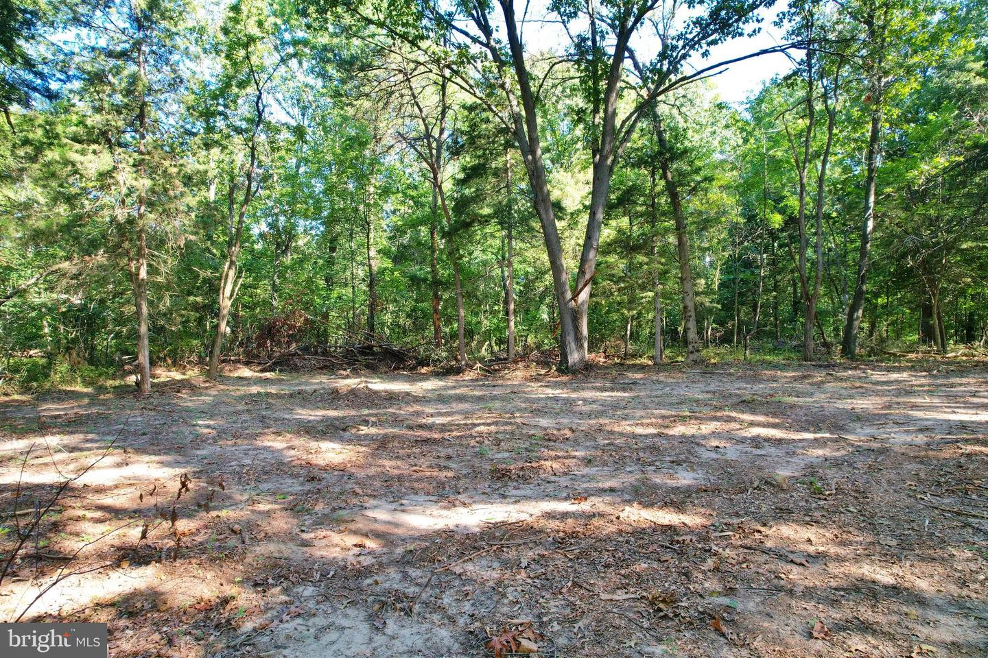 OAK HAVEN LN, NEW MARKET, Virginia 22844, ,Land,For sale,OAK HAVEN LN,VASH2009510 MLS # VASH2009510