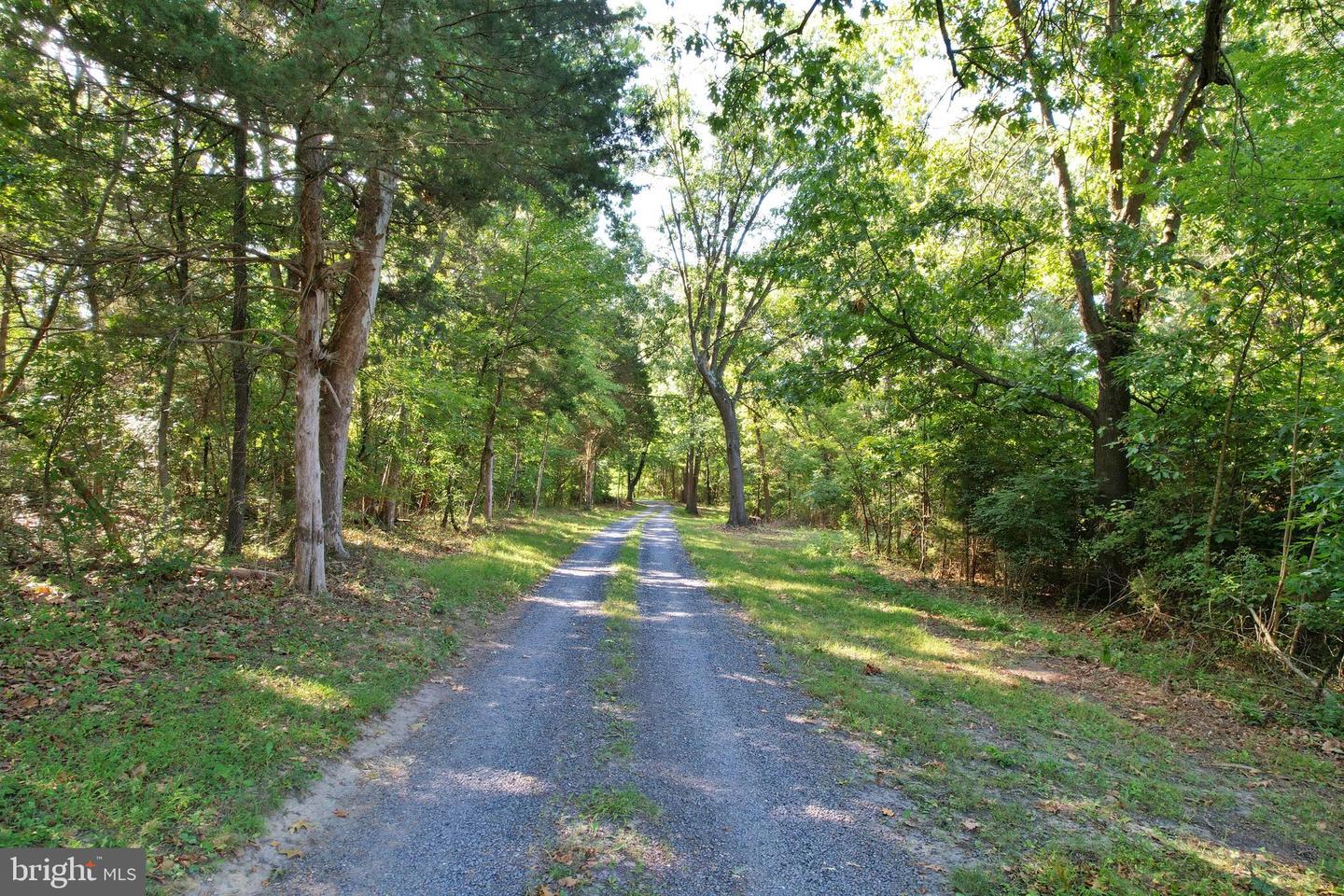 OAK HAVEN LN, NEW MARKET, Virginia 22844, ,Land,For sale,OAK HAVEN LN,VASH2009510 MLS # VASH2009510