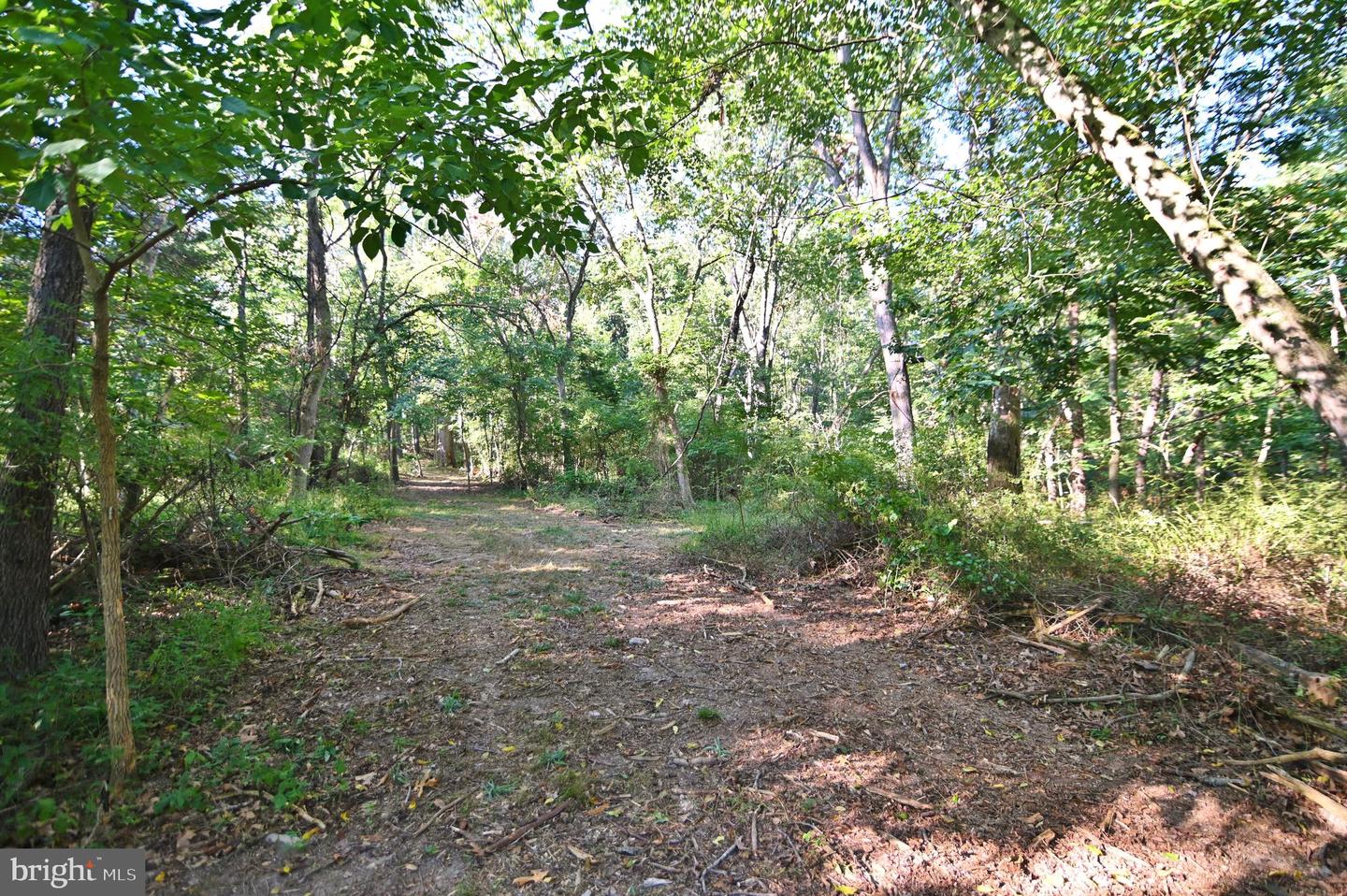 OAK HAVEN LN, NEW MARKET, Virginia 22844, ,Land,For sale,OAK HAVEN LN,VASH2009510 MLS # VASH2009510