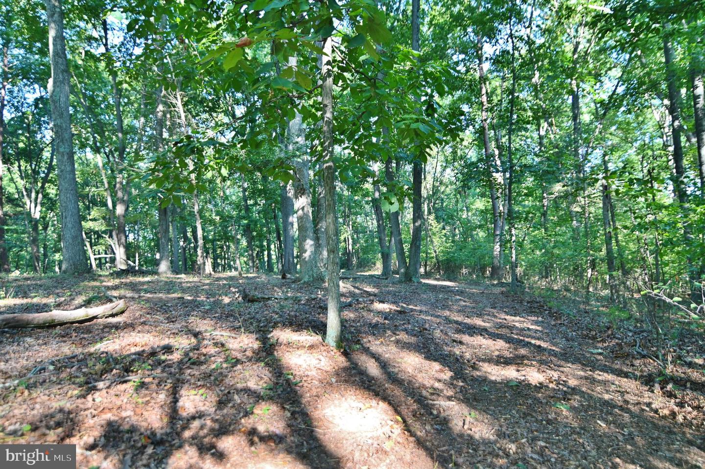 OAK HAVEN LN, NEW MARKET, Virginia 22844, ,Land,For sale,OAK HAVEN LN,VASH2009510 MLS # VASH2009510