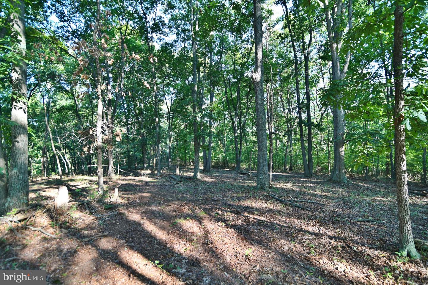 OAK HAVEN LN, NEW MARKET, Virginia 22844, ,Land,For sale,OAK HAVEN LN,VASH2009510 MLS # VASH2009510