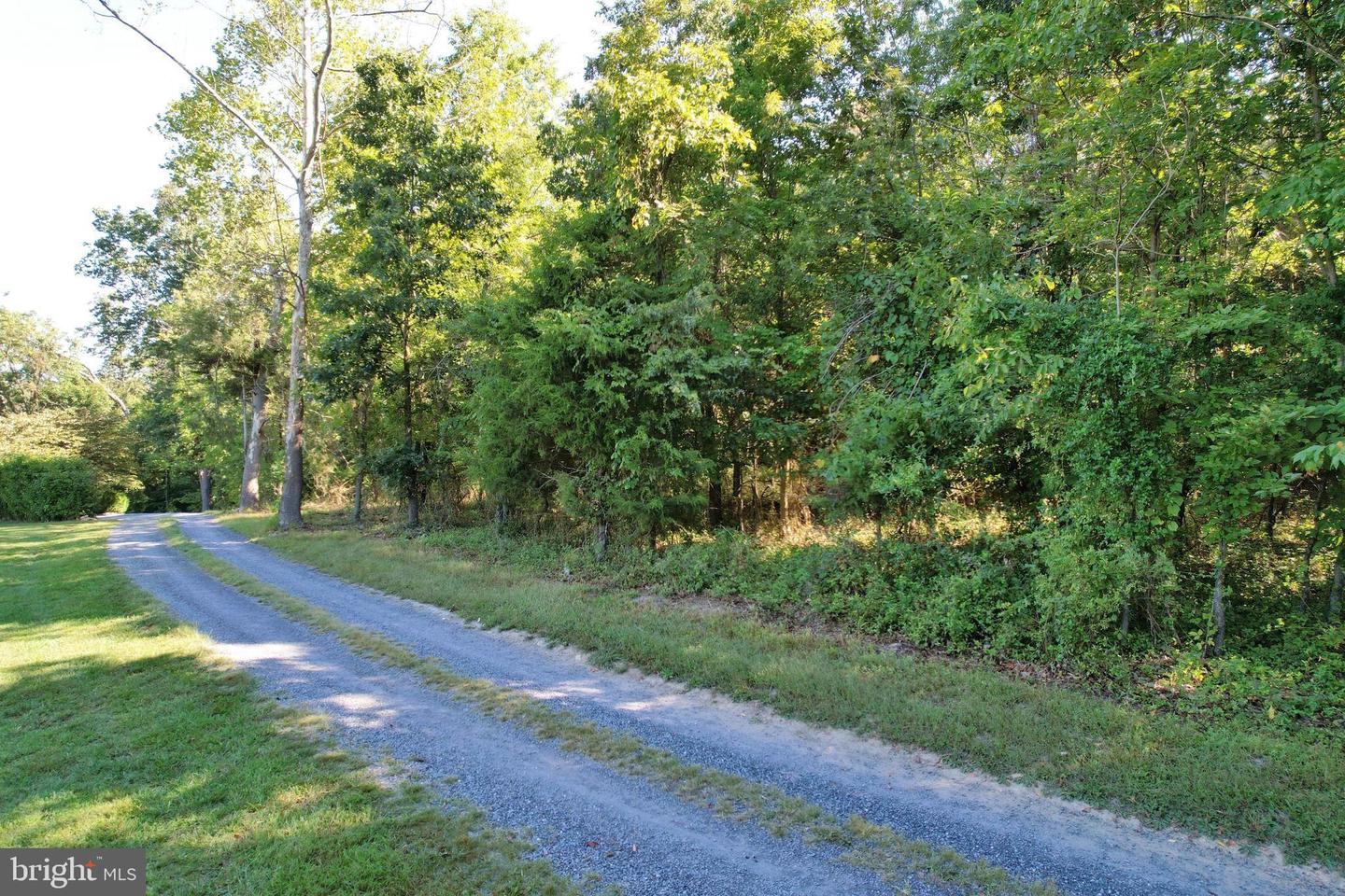 OAK HAVEN LN, NEW MARKET, Virginia 22844, ,Land,For sale,OAK HAVEN LN,VASH2009510 MLS # VASH2009510