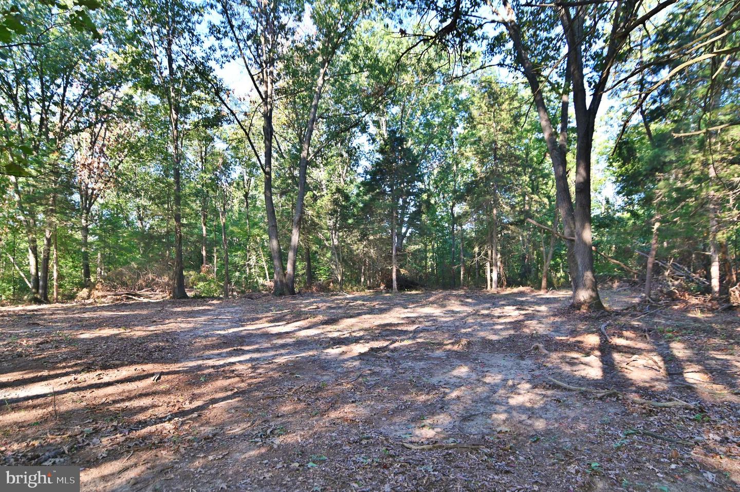 OAK HAVEN LN, NEW MARKET, Virginia 22844, ,Land,For sale,OAK HAVEN LN,VASH2009510 MLS # VASH2009510