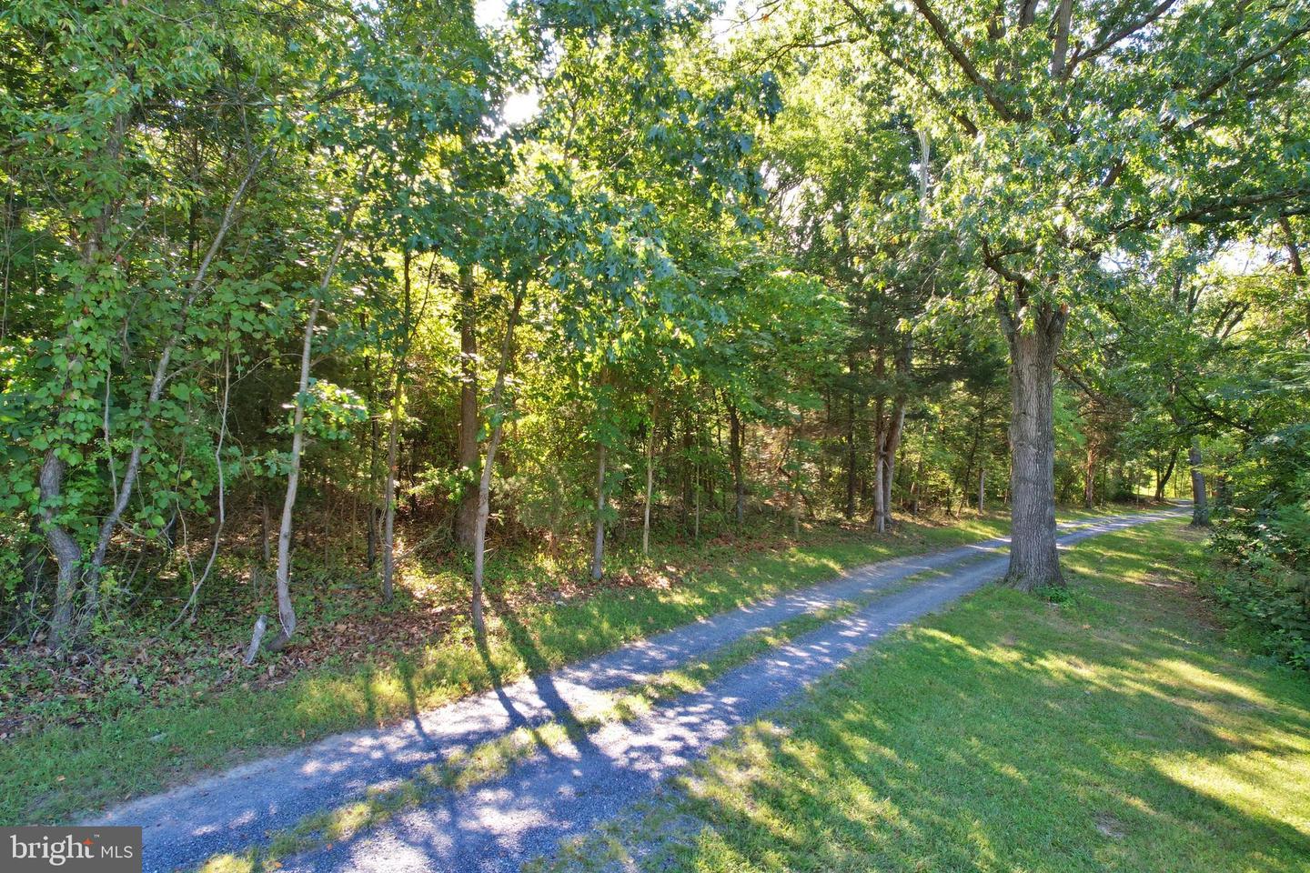 OAK HAVEN LN, NEW MARKET, Virginia 22844, ,Land,For sale,OAK HAVEN LN,VASH2009510 MLS # VASH2009510