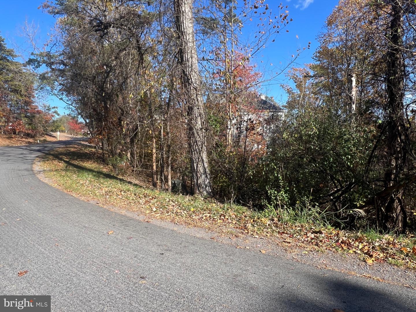 LOT 98 S LAKEVIEW DR, CROSS JUNCTION, Virginia 22625, ,Land,For sale,LOT 98 S LAKEVIEW DR,VAFV2022772 MLS # VAFV2022772