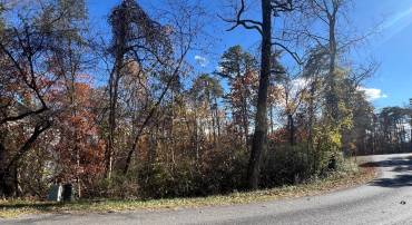 LOT 98 S LAKEVIEW DR, CROSS JUNCTION, Virginia 22625, ,Land,For sale,LOT 98 S LAKEVIEW DR,VAFV2022772 MLS # VAFV2022772