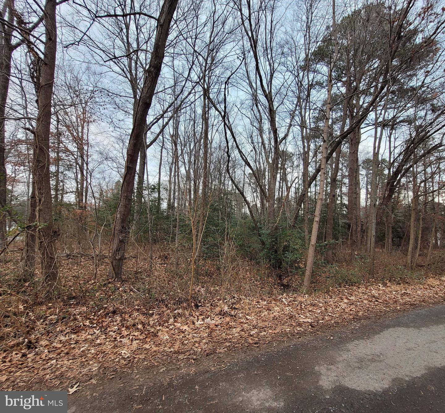 LOT 14 FOREST GROVE RD, COLONIAL BEACH, Virginia 22443, ,Land,For sale,LOT 14 FOREST GROVE RD,VAWE2007986 MLS # VAWE2007986