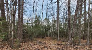 LOT 33 WILDWOOD RD, COLONIAL BEACH, Virginia 22443, ,Land,For sale,LOT 33 WILDWOOD RD,VAWE2007988 MLS # VAWE2007988