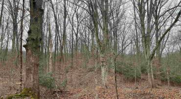 2505 DUTCH CREEK LN, SHIPMAN, Virginia 22971, ,Land,For sale,2505 DUTCH CREEK LN,659686 MLS # 659686