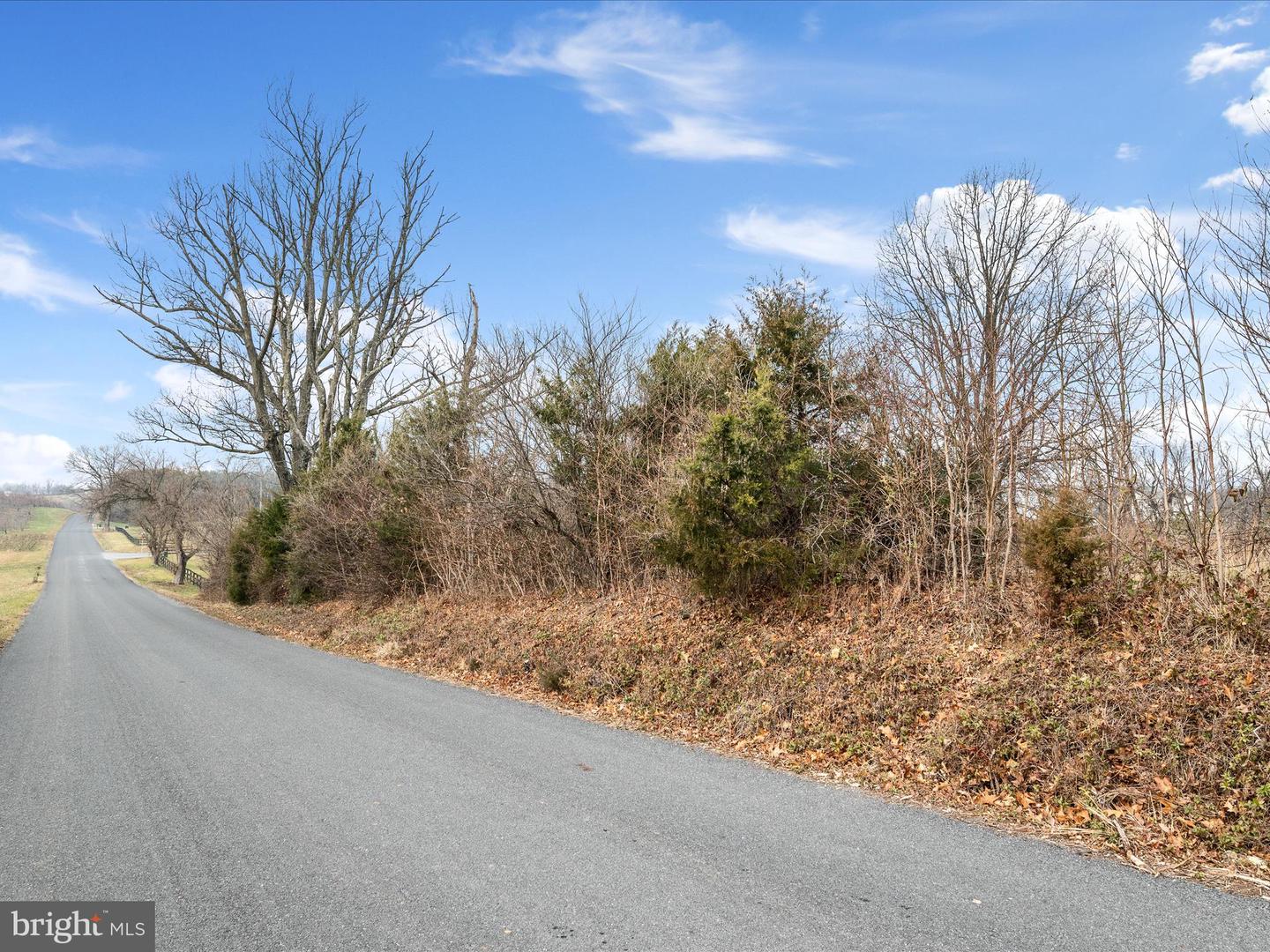 CARTERS LN, STEPHENS CITY, Virginia 22655, ,Land,For sale,CARTERS LN,VAFV2023490 MLS # VAFV2023490