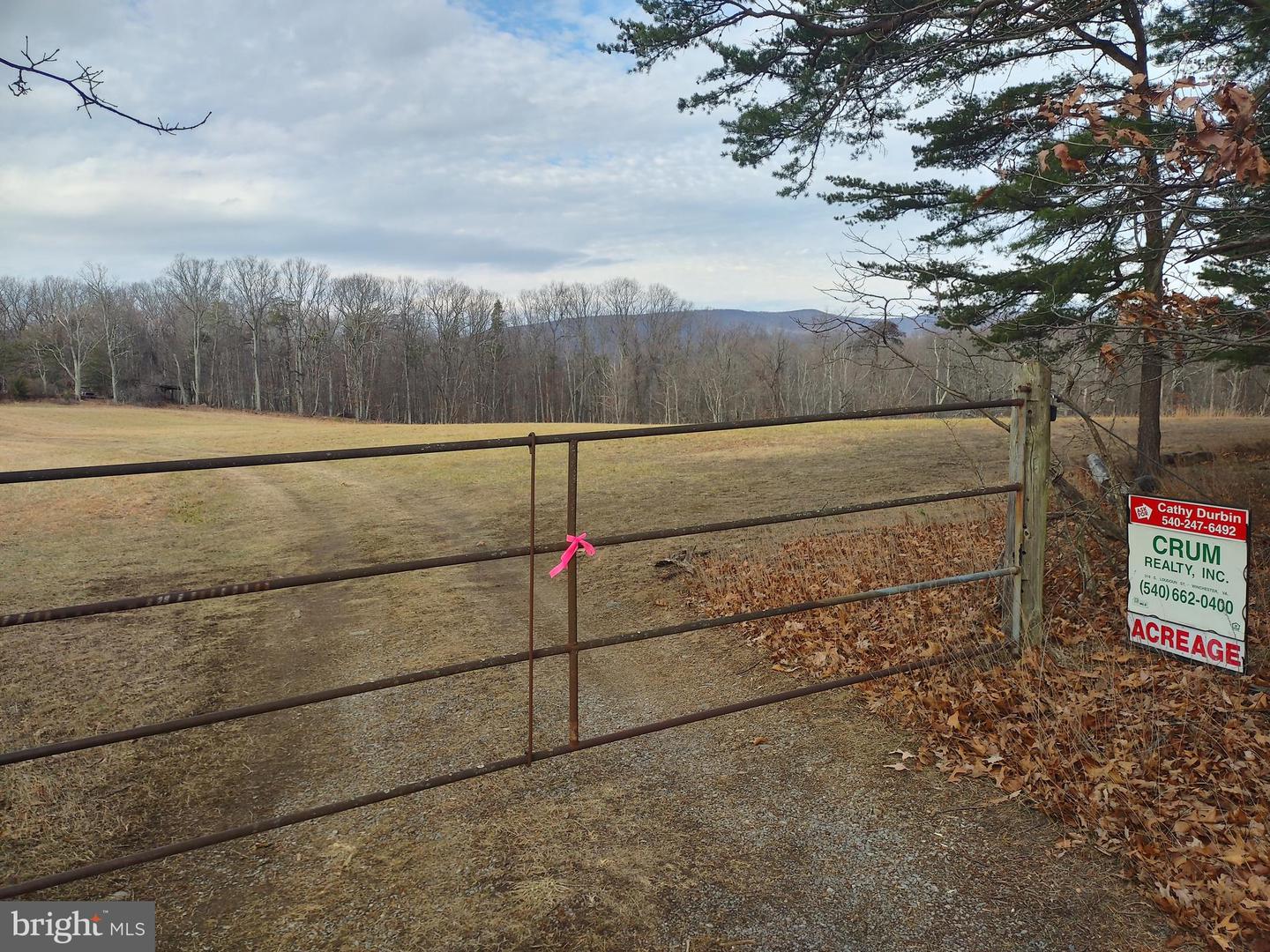 S TIMBER RIDGE ROAD, CROSS JUNCTION, Virginia 22625, ,Land,For sale,S TIMBER RIDGE ROAD,VAFV2023488 MLS # VAFV2023488