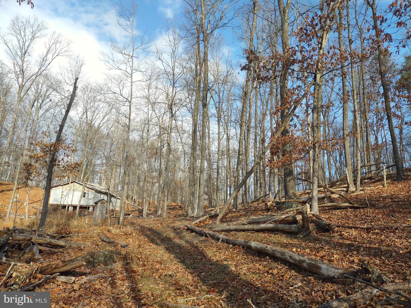 S TIMBER RIDGE ROAD, CROSS JUNCTION, Virginia 22625, ,Land,For sale,S TIMBER RIDGE ROAD,VAFV2023488 MLS # VAFV2023488