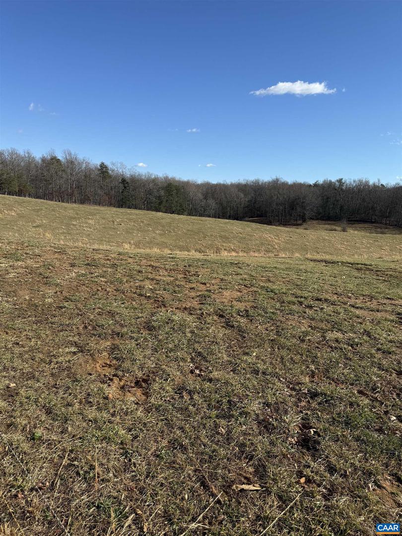 00 OLD HOMEPLACE LN #32-37A, 32037-B, 32-, REVA, Virginia 22735, ,Farm,For sale,00 OLD HOMEPLACE LN #32-37A, 32037-B, 32-,659722 MLS # 659722