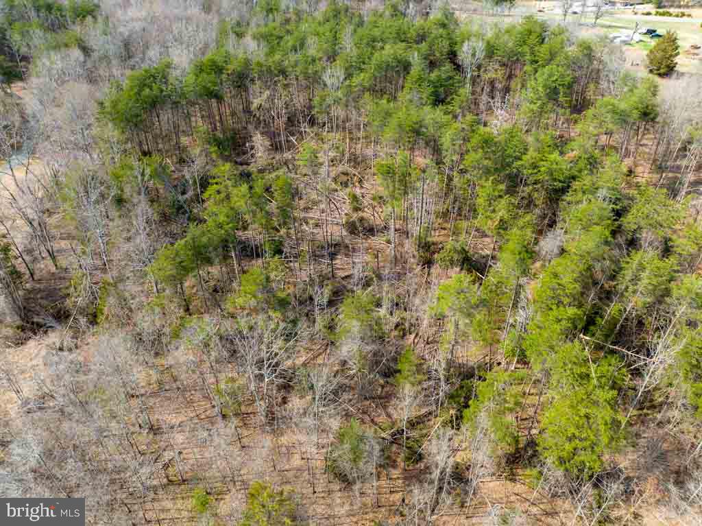 0 (LOT 5) NEW BRIDGE ROAD, MINERAL, Virginia 23117, ,Land,For sale,0 (LOT 5) NEW BRIDGE ROAD,VALA2004590 MLS # VALA2004590