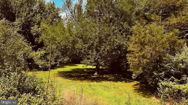 LOT 1 PAGE VALLEY ROAD, LURAY, Virginia 22835, ,Land,For sale,LOT 1 PAGE VALLEY ROAD,VAPA2003998 MLS # VAPA2003998