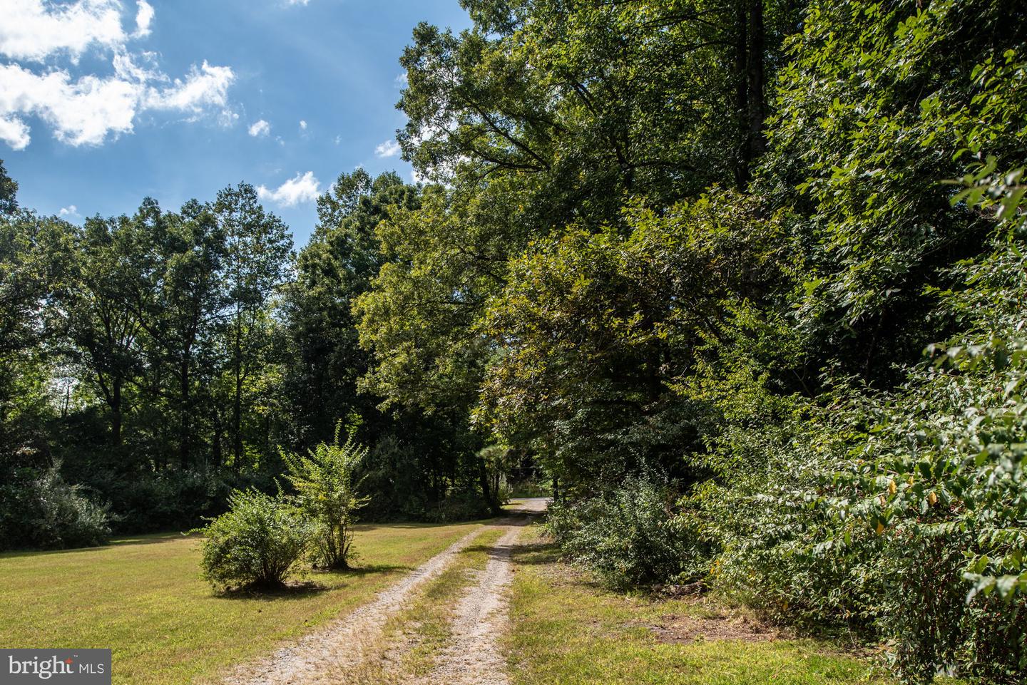 6917 TOWLES MILL RD, SPOTSYLVANIA, Virginia 22551, 4 Bedrooms Bedrooms, ,2 BathroomsBathrooms,Residential,For sale,6917 TOWLES MILL RD,VASP2027886 MLS # VASP2027886