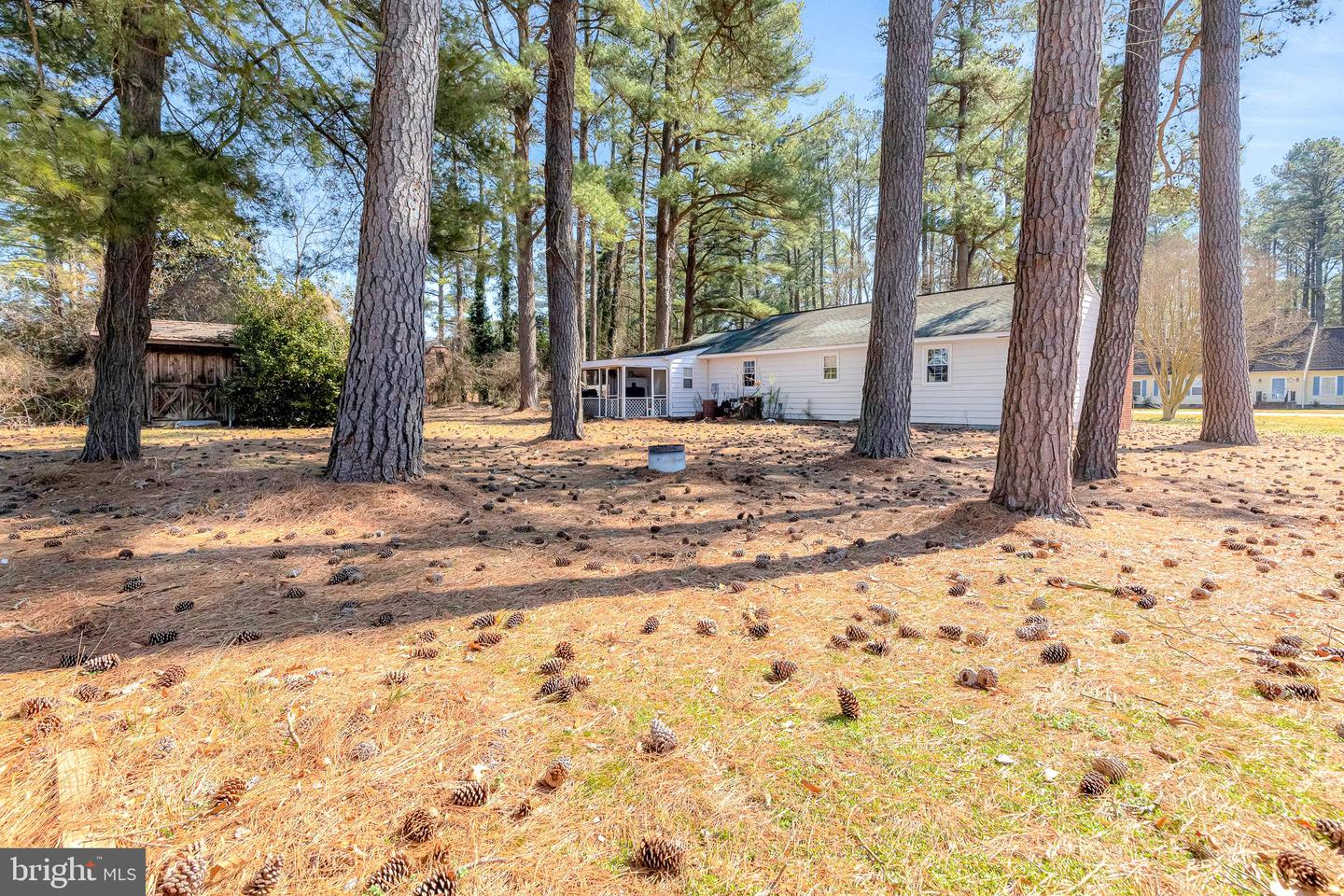 369 E BANBURY RD, TAPPAHANNOCK, Virginia 22560, 3 Bedrooms Bedrooms, 6 Rooms Rooms,2 BathroomsBathrooms,Residential,For sale,369 E BANBURY RD,VAES2000794 MLS # VAES2000794